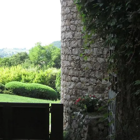 Dai Maestri
